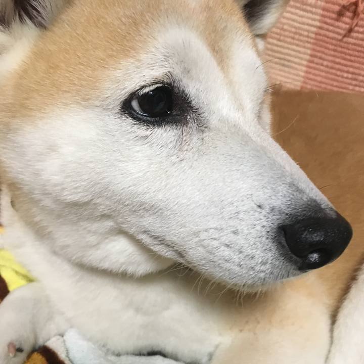 009977d0 344f 4422 8d45 223cb2623dbd