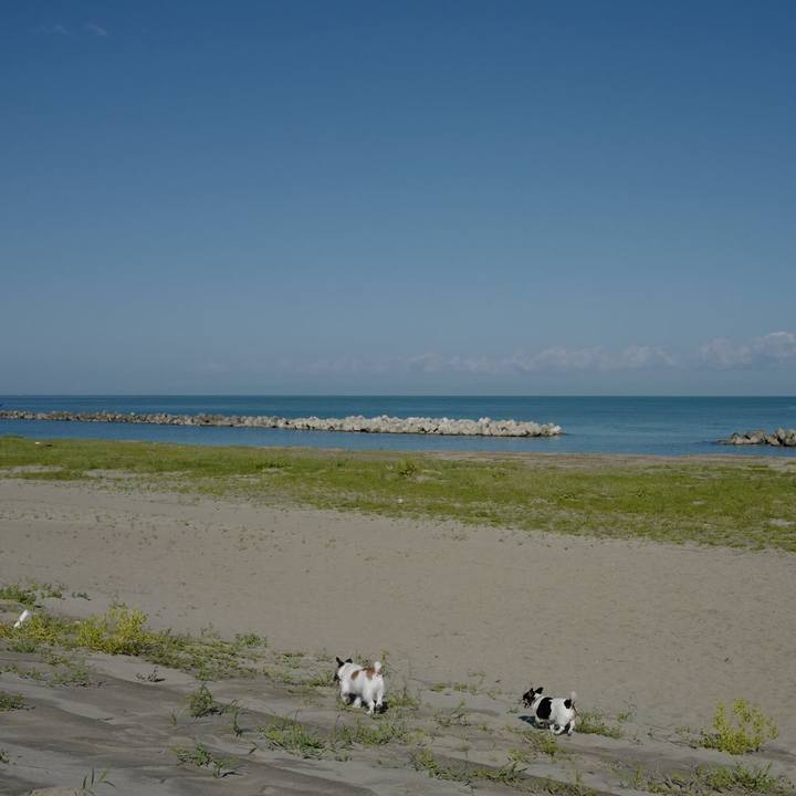 0099b292 fb02 4939 b517 c82223d55e5e