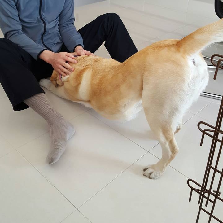 009a0204 4875 4d3d 9136 76d4670cc2b9