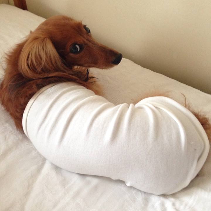 009a367b 7613 49c8 97a8 228721cfe4c6