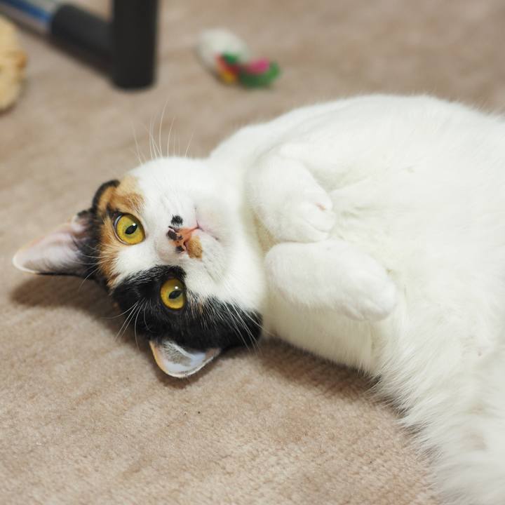 009a6d2b d143 47dc 8570 d15c8374592f