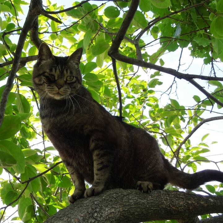 009b020f 746e 4c66 a960 22786fd0897f