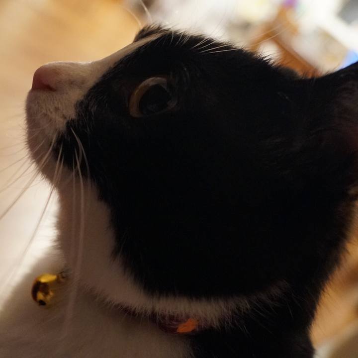 009b30d2 7eed 4e67 8926 4e84e317c18c