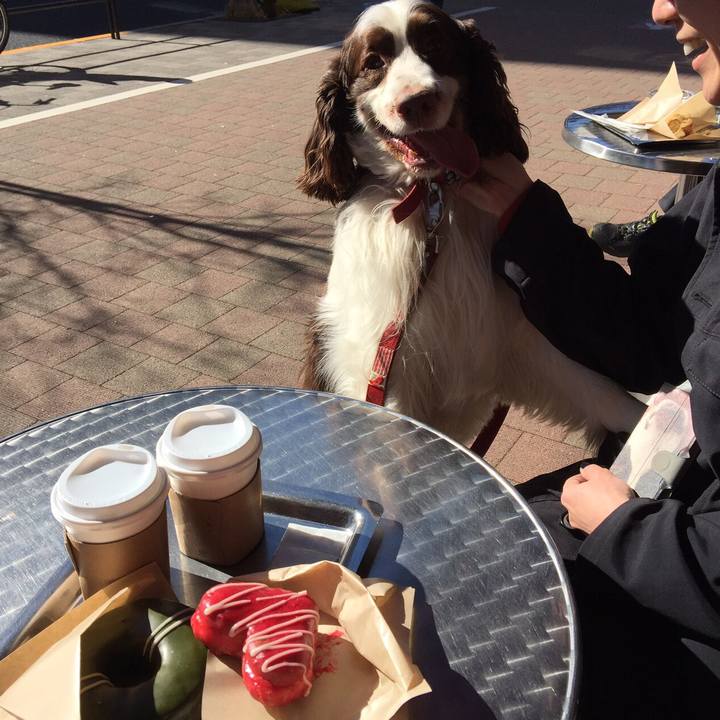 009b66b9 af8c 4607 8987 ea3008c06b11