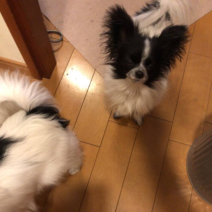 009c89aa 2e11 4e95 9e54 b91501694def