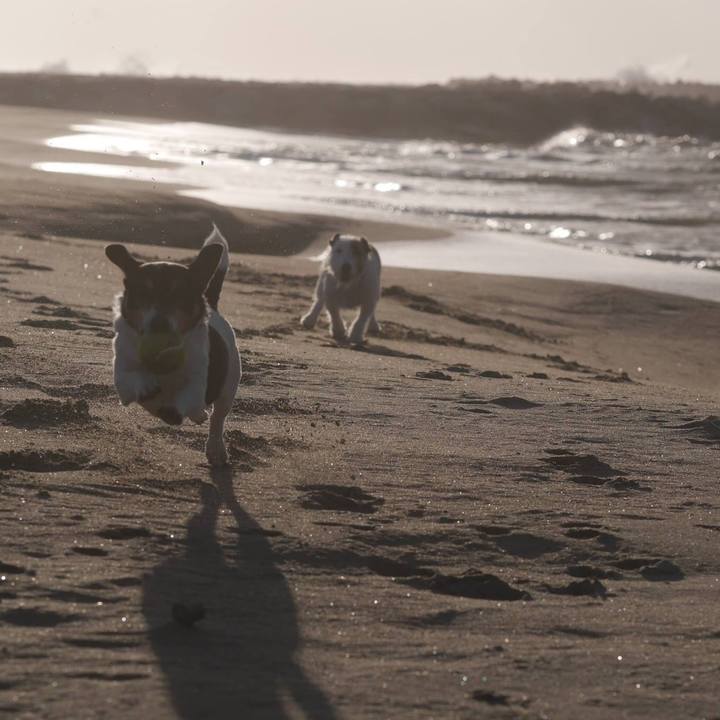 009d60d2 1d62 48ca 9a10 be19992f7488