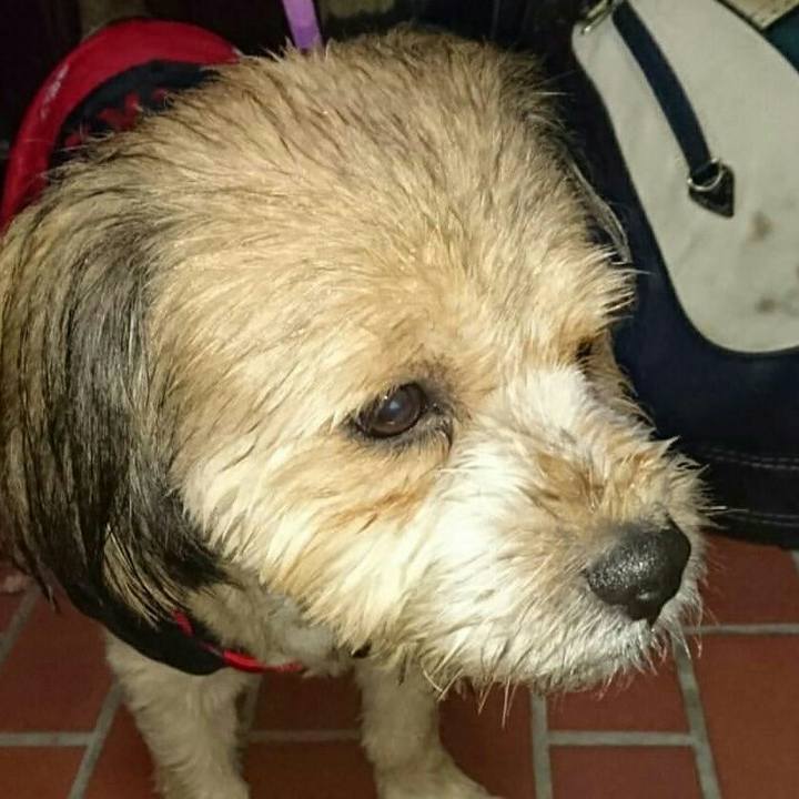 009d659b 45d4 4991 a5fb 7a49a514f99d