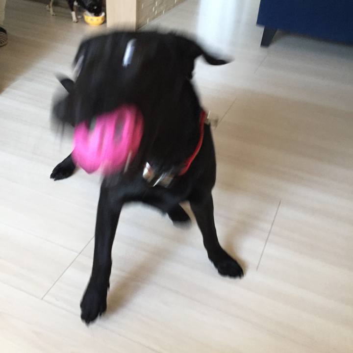 009da8cf e5de 4c24 94df 150696851af1