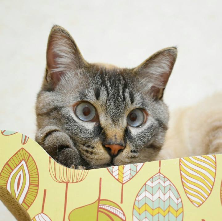 009dc414 2d46 4735 bd3c 74def180e50a