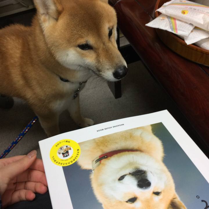 009e1b59 0595 487b 963f 2d1df046ae46