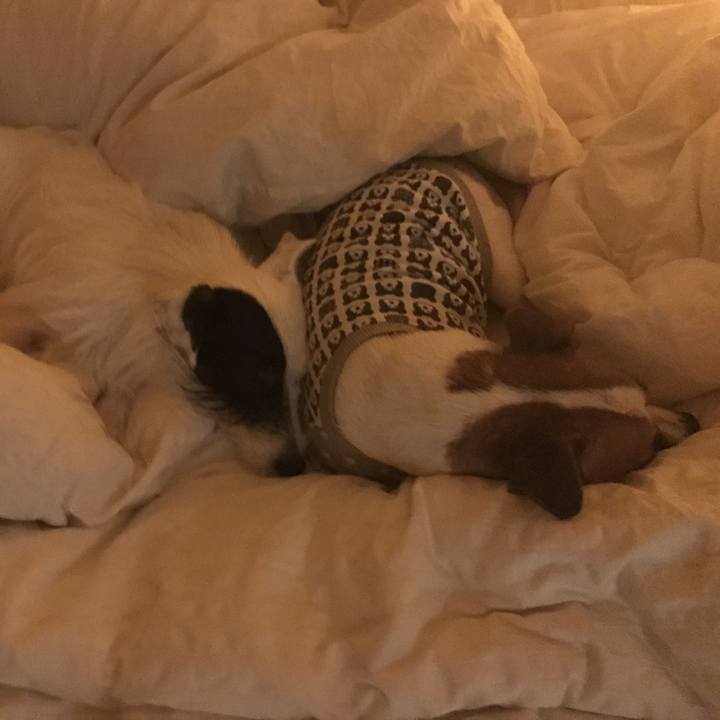 009ec8ff f17b 4b2b 8d76 1d58a68ed74d