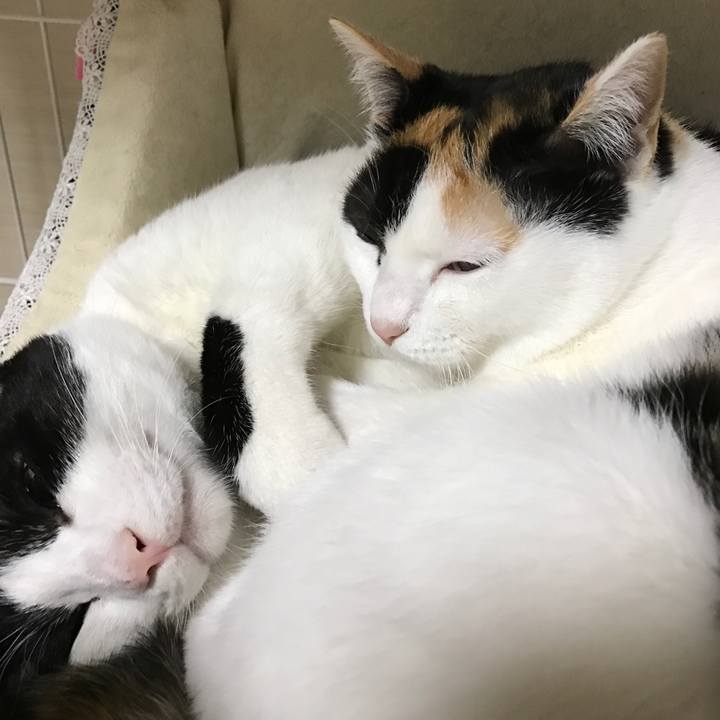 009f94e6 d69e 498e 8825 26009d0a6579