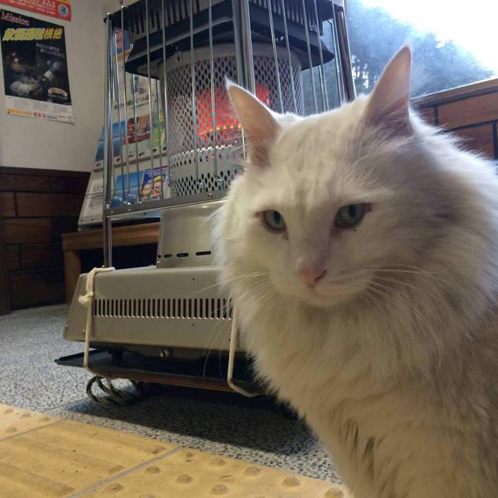 00a080cc e1e8 46e6 8fee 4e5ba1abaa57