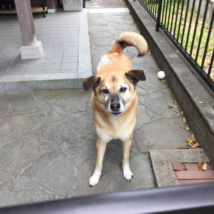 00a09ae9 a161 43df 92f7 cae2a058936e