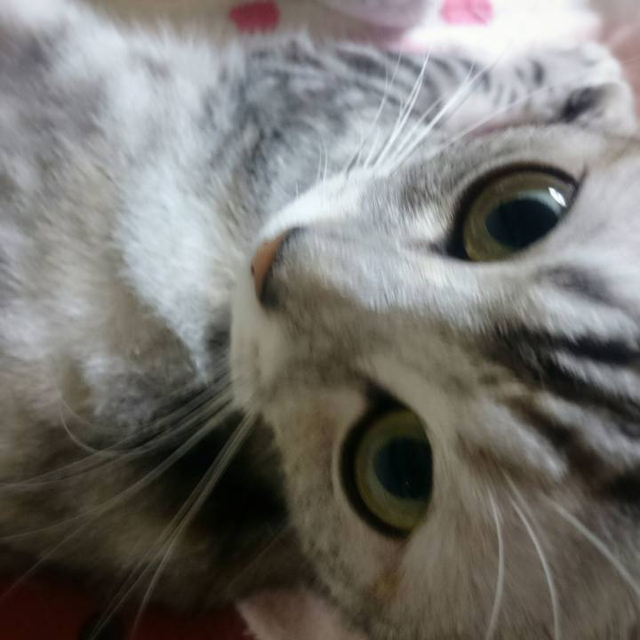 00a0cca7 b51f 493b a705 4f03674be981