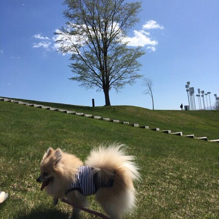 00a1f974 439f 460f a7bc 85d981d6e56c