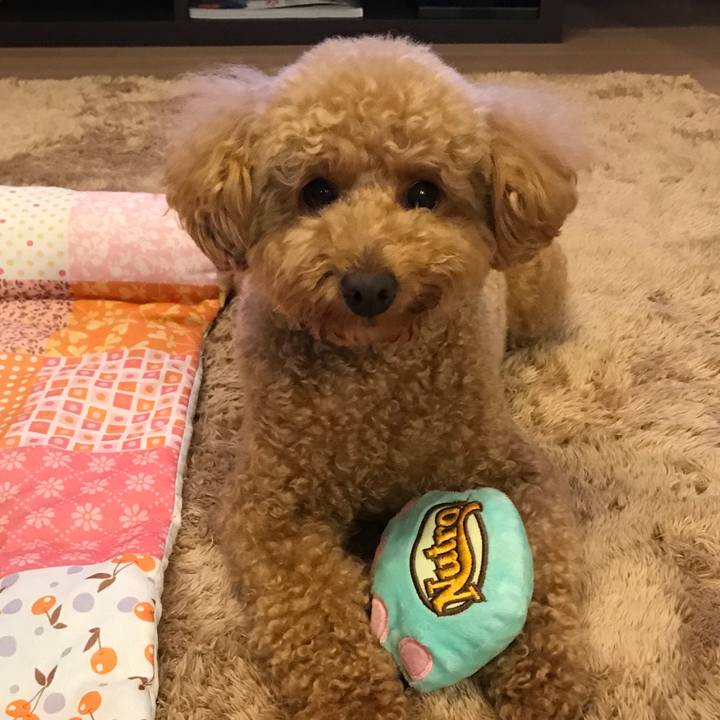 00a233bc e732 42e4 b00b 12a80fc593f8