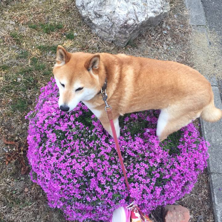 00a2342e 9433 48a7 a97b f353f7af26bf