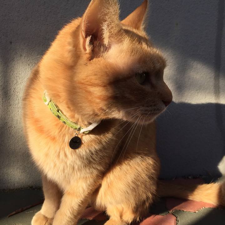 00a2a0ff eb68 44a4 996a 1e1ba38fdfad