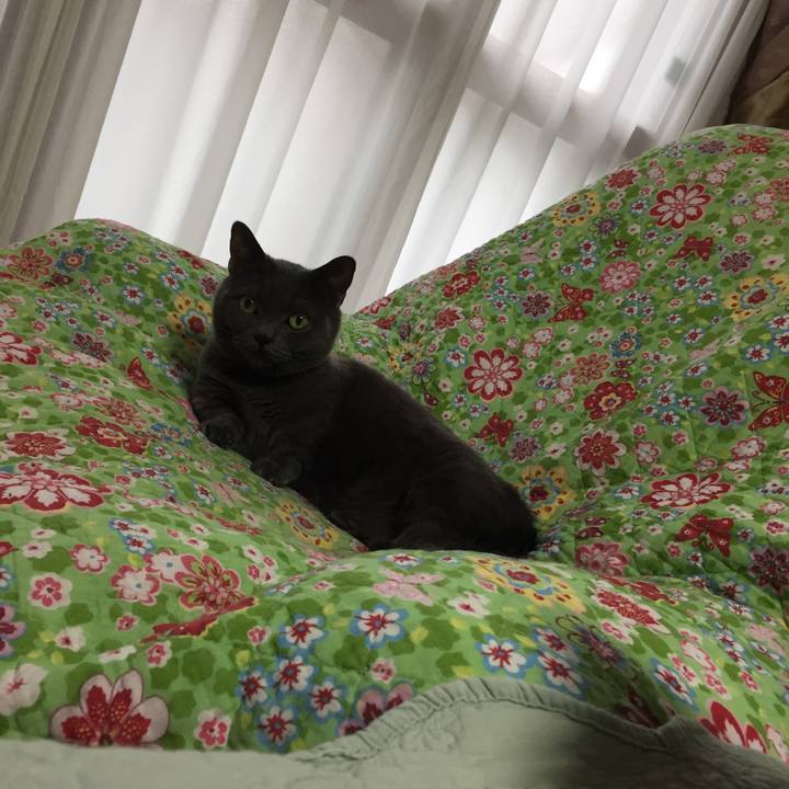 00a2eca9 b4f7 4304 a895 f99c4cdf5706