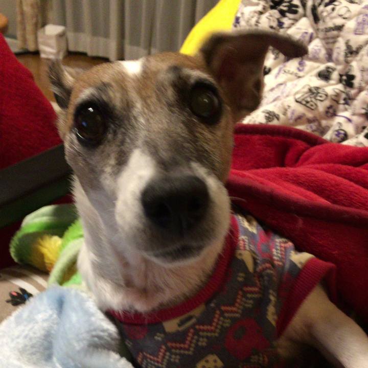 00a38c4e 7850 4376 bcb1 cf08d79a01cc