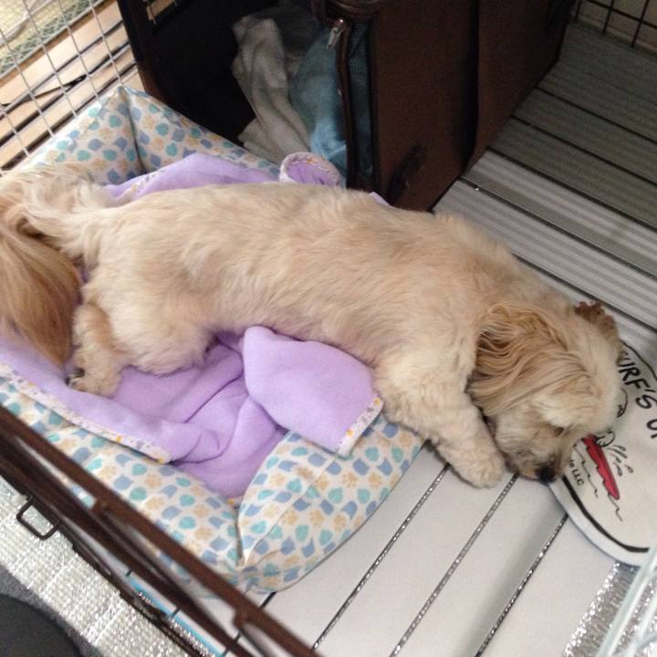 00a39f7f 171c 4b3e 8f44 2105cc9cceb2