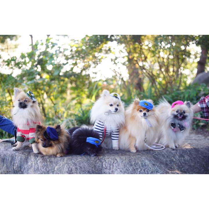 00a40fab a1f5 4c6d 9d1e f7052e1ede68