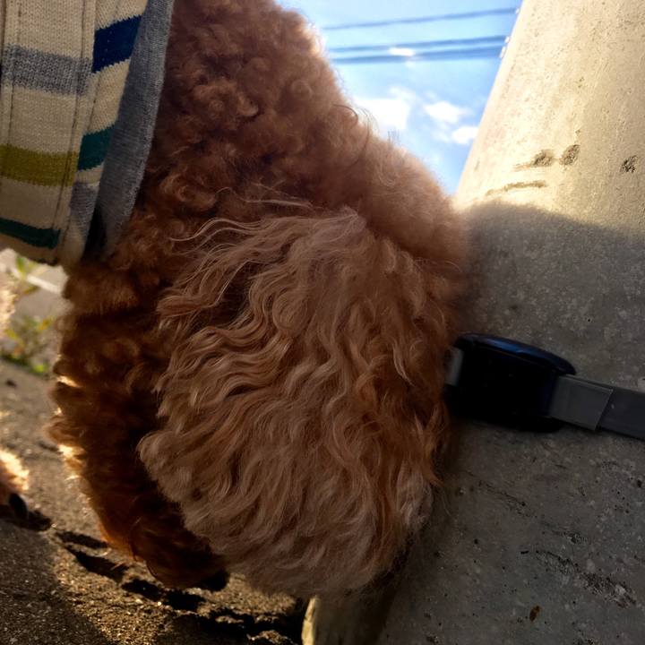 00a4184e a4f6 43d8 aa90 e68ee89c0646