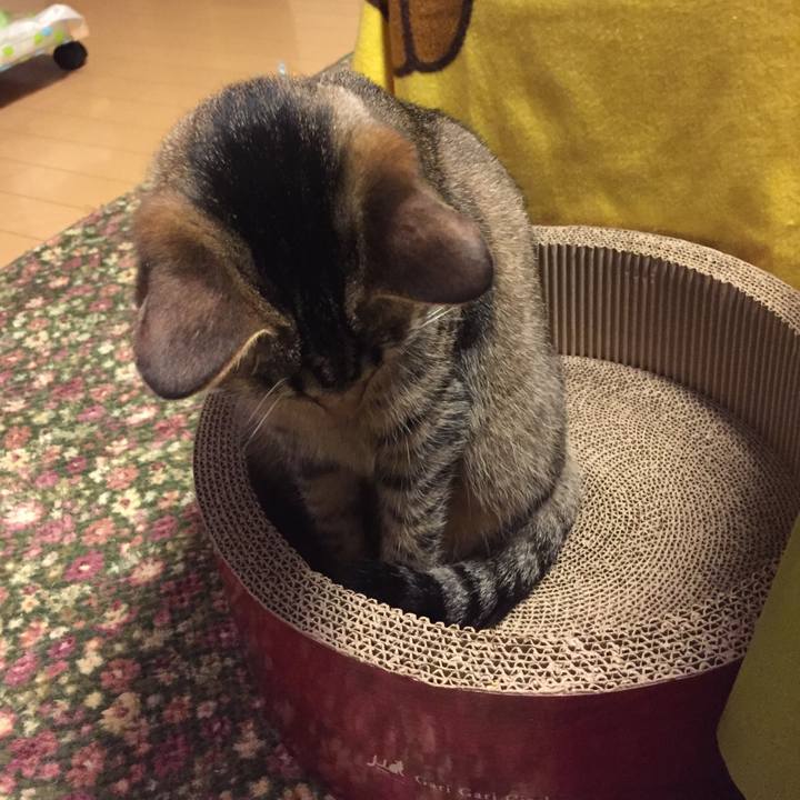 00a4f0b1 cf37 403d bbbb 02e6e9e98ac3