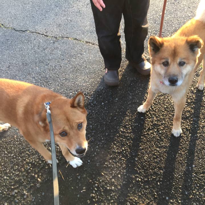 00a52c1f a327 495e 9a0d 5cdfa80ec792