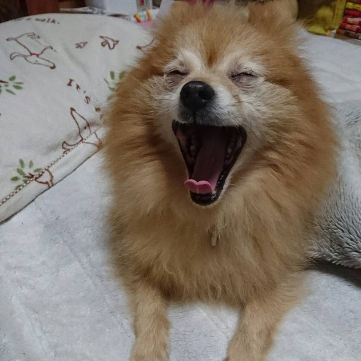 00a58353 1ee7 4f3d a703 03e6d0036379