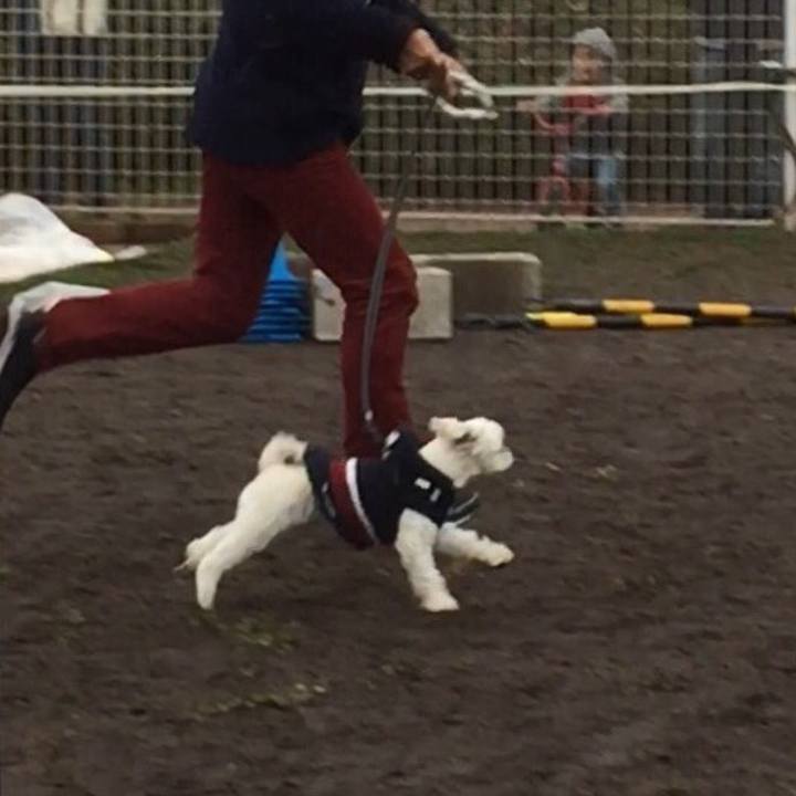 00a5b678 ffea 407e 992e d2718ae0db85