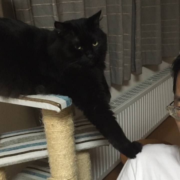 00a5fb57 91a7 4837 b0f7 551c6adb3580