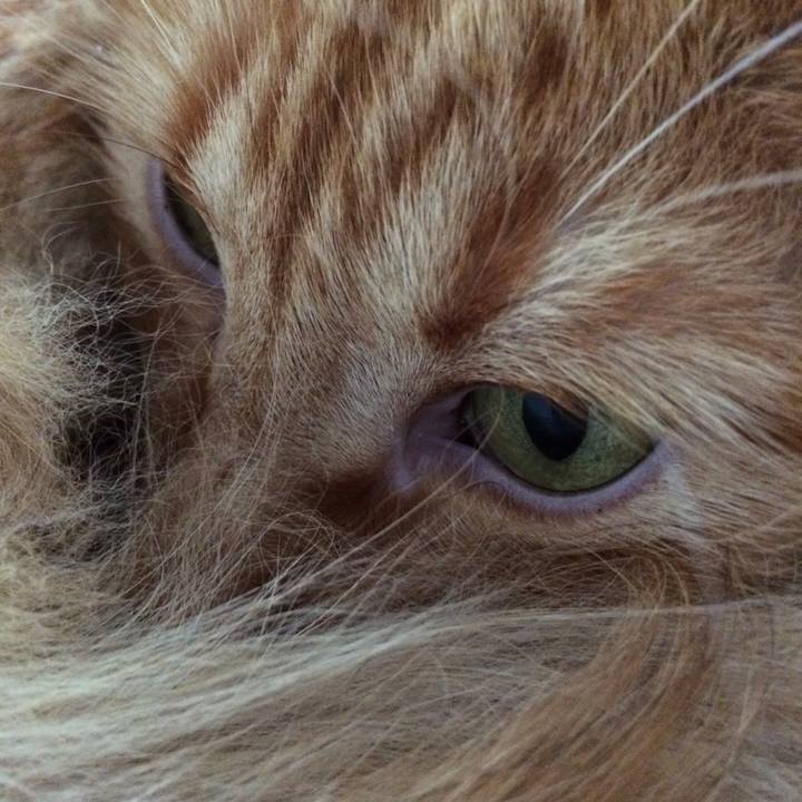 00a6584d f887 42ff 8359 50cca4f5a6f3