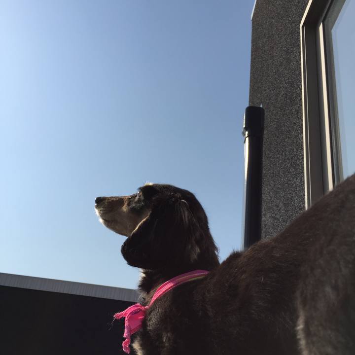 00a6a7ee 90d6 495b 8bab d0e002e9920b