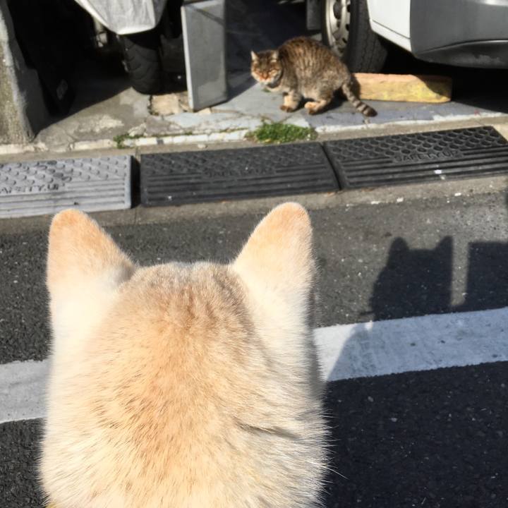 00a73c85 ae1b 4d2c 9e2d 405cedf51f99