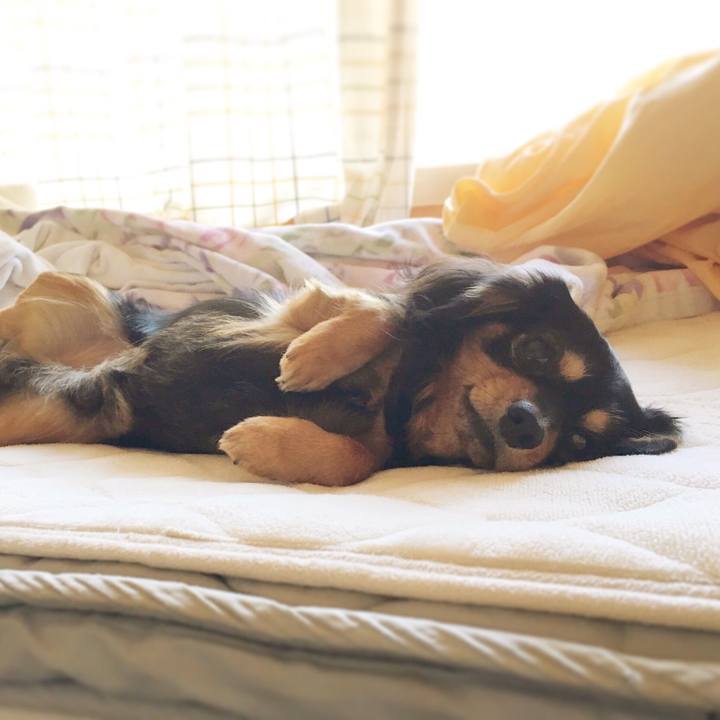 00a79af9 4951 4270 9399 0c43f1c165e7