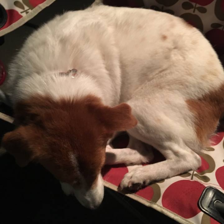 00a7c8b1 fb0f 41c0 8fae 8c58a6205380