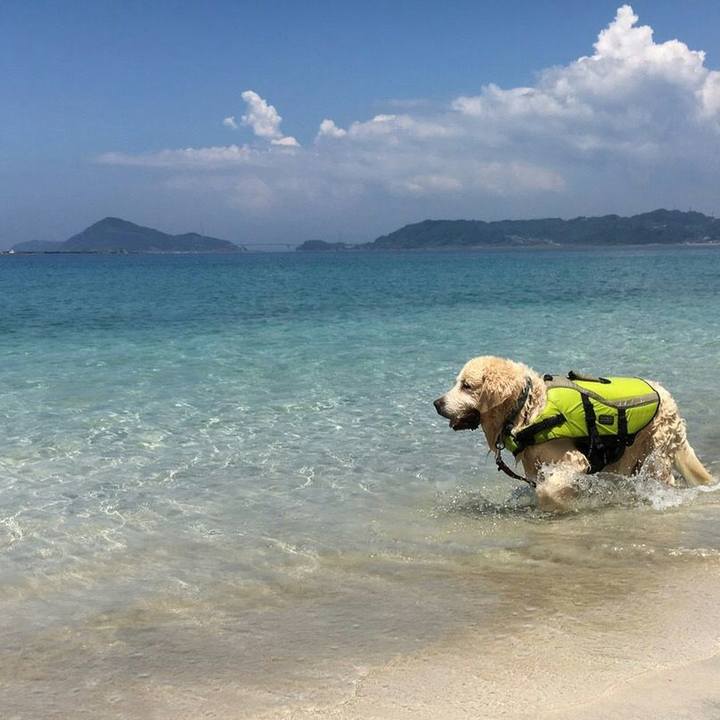 00a81b26 5ad8 4ea0 905f 68e8de7d47a3