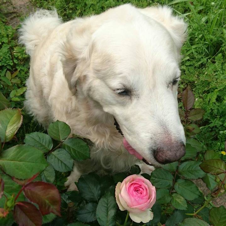 00a8f2c4 63ed 4823 a562 9c1b47ddfef2