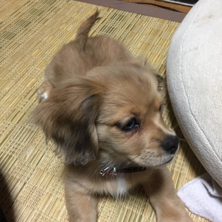 00a93afe 4e5d 4801 80c4 2238f8097a58