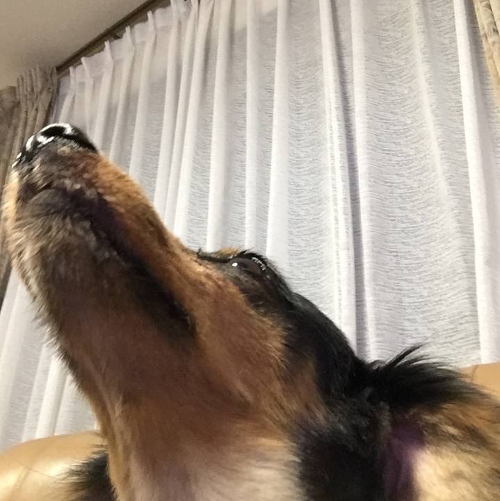 00a97fcf d609 47af b49d 7d7f628416da