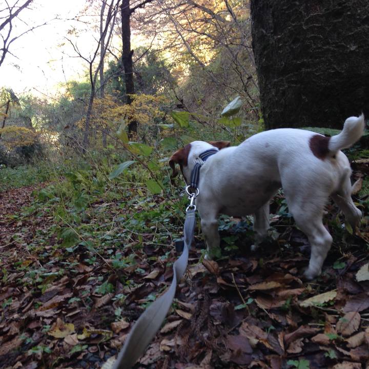 00aa3632 3a9d 4f79 b717 bcf7a602842a