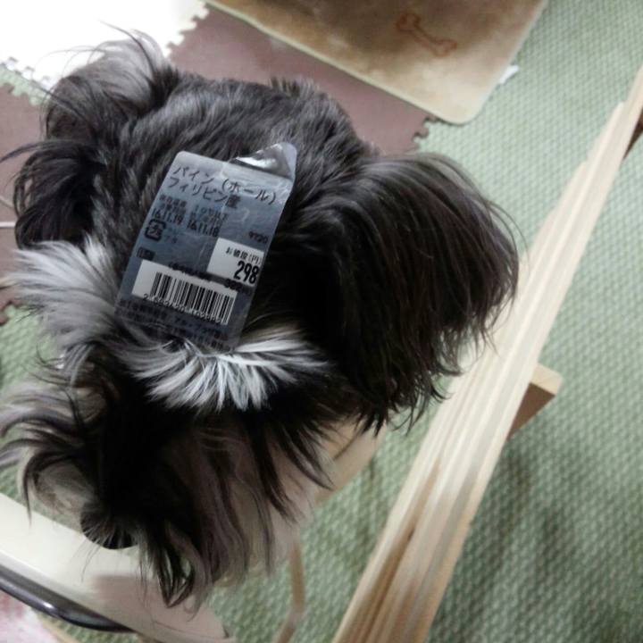 00aa9ae4 54d8 40f7 ab34 7c1346fe90e9