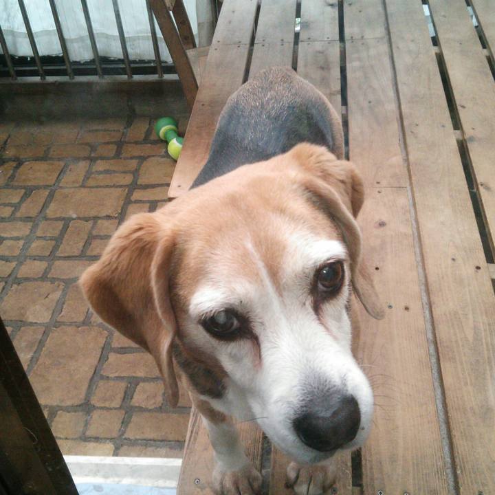 00aaffa1 57cf 4c9b b0b9 c4d91d812bea