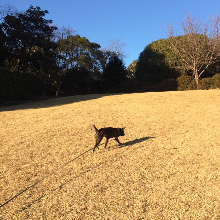 00ab1427 5502 4725 8dda 86375ae163aa