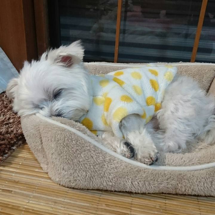 00ab4916 0a2b 4f6c a68d c6fa6e7311d9