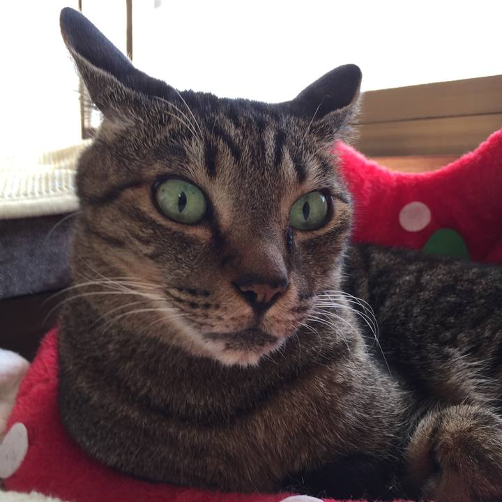 00abd5fa 3c27 4599 87b2 af7b7b1dedc8