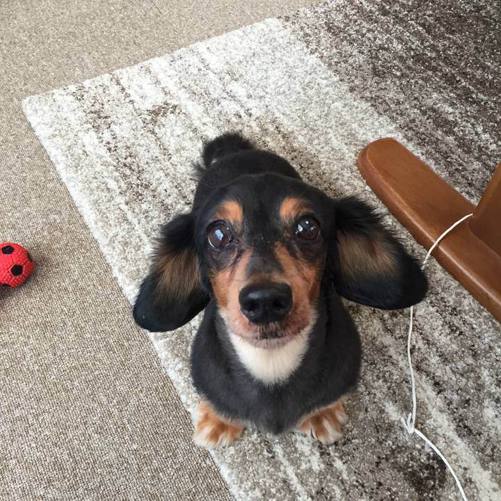 00abf39c 013b 4d39 8121 c43d07182b6e