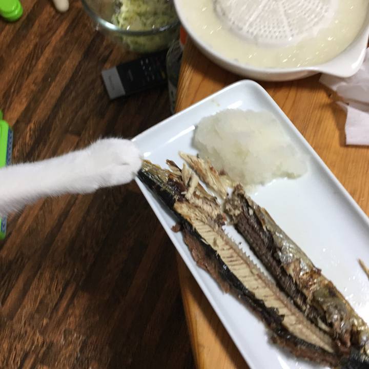 00ac711f 29f3 4bce a28c 5767ef1b7343